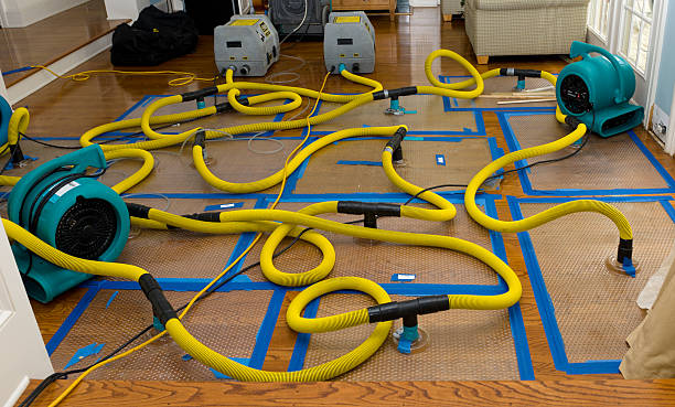 Professional Structural Drying And Dehumidification technician working in Brownton, MN